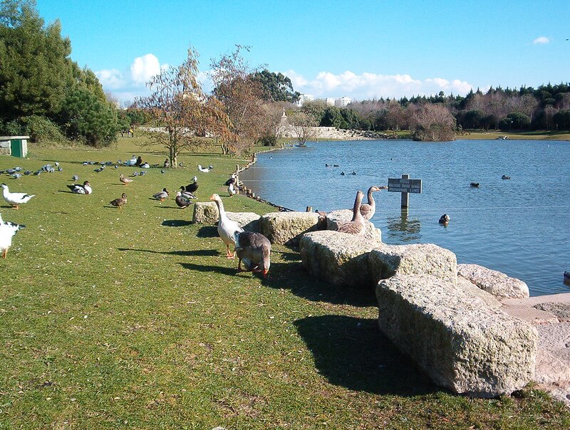 Parque da Cidade